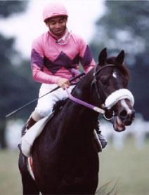 ナリタブライアン | うみねこ博物館