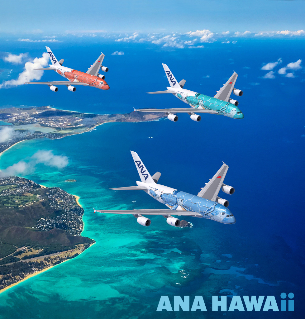 ANA FLYING HONU（フライングホヌ）で行くハワイ （東京発）│近畿日本