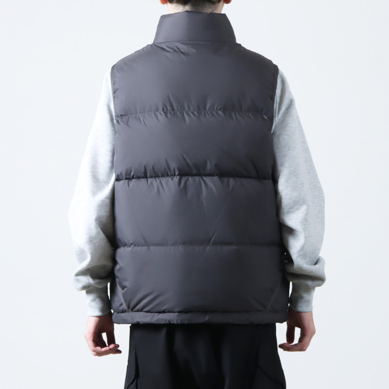 DAIWA PIER39 (ダイワピア39) TECH ALPINE DOWN VEST / テック