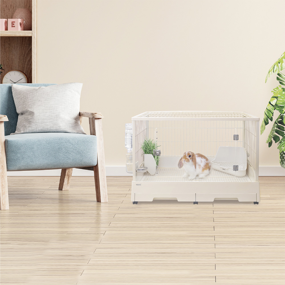 GEX クリアフロント80 | ペット用品（小動物・鳥・亀・爬虫類） 通販