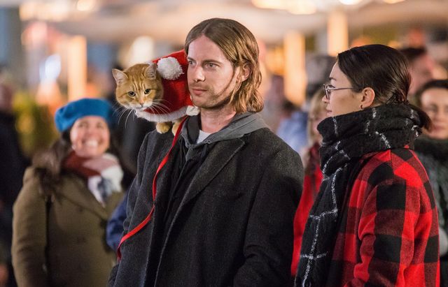 ボブという名の猫』続編、2021年日本公開！｜シネマトゥデイ