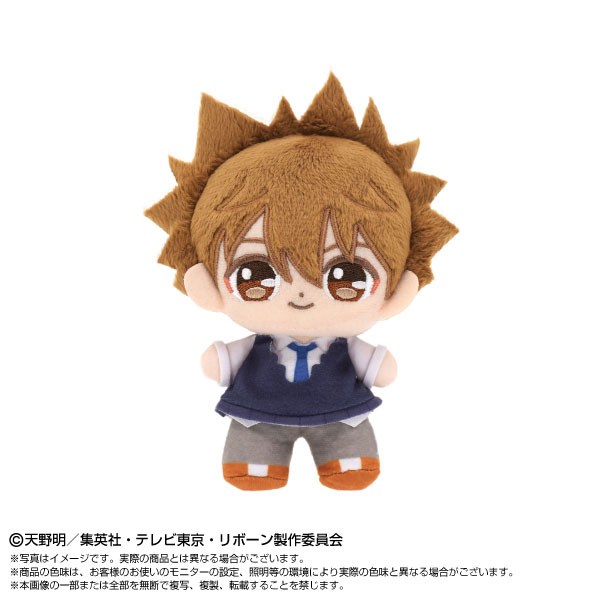 ぷりぬいたっちどりーむみに 家庭教師ヒットマンREBORN！ 沢田綱吉