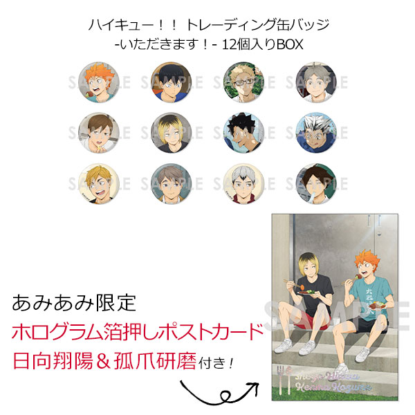 あみあみ限定特典】ハイキュー！！ トレーディング缶バッジ -いただき