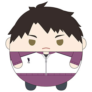 ハイキュー！！ ふわコロりんMsize9 D：国見英[マックスリミテッド