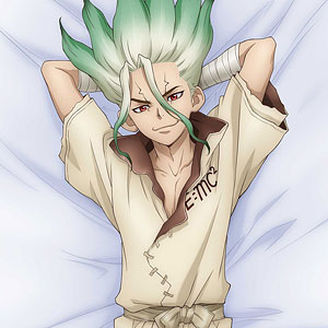 Dr.STONE 抱き枕カバー 描き下ろし プレミアム抱き枕カバー あさぎり