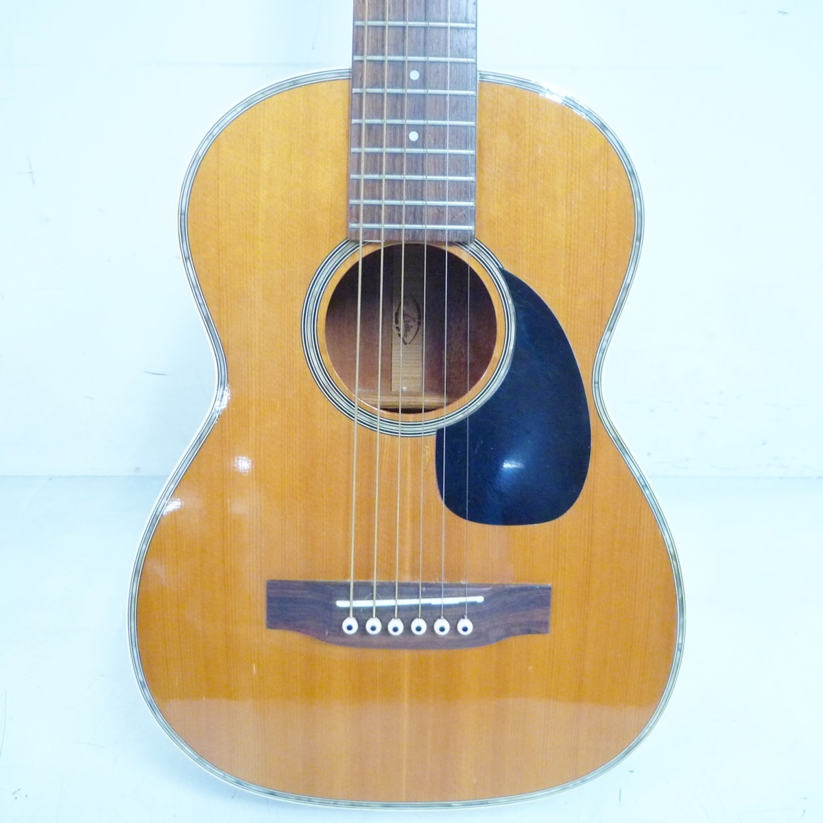 アコースティックギター アリア ニューヨーカーモデル AMW-2 トップ単