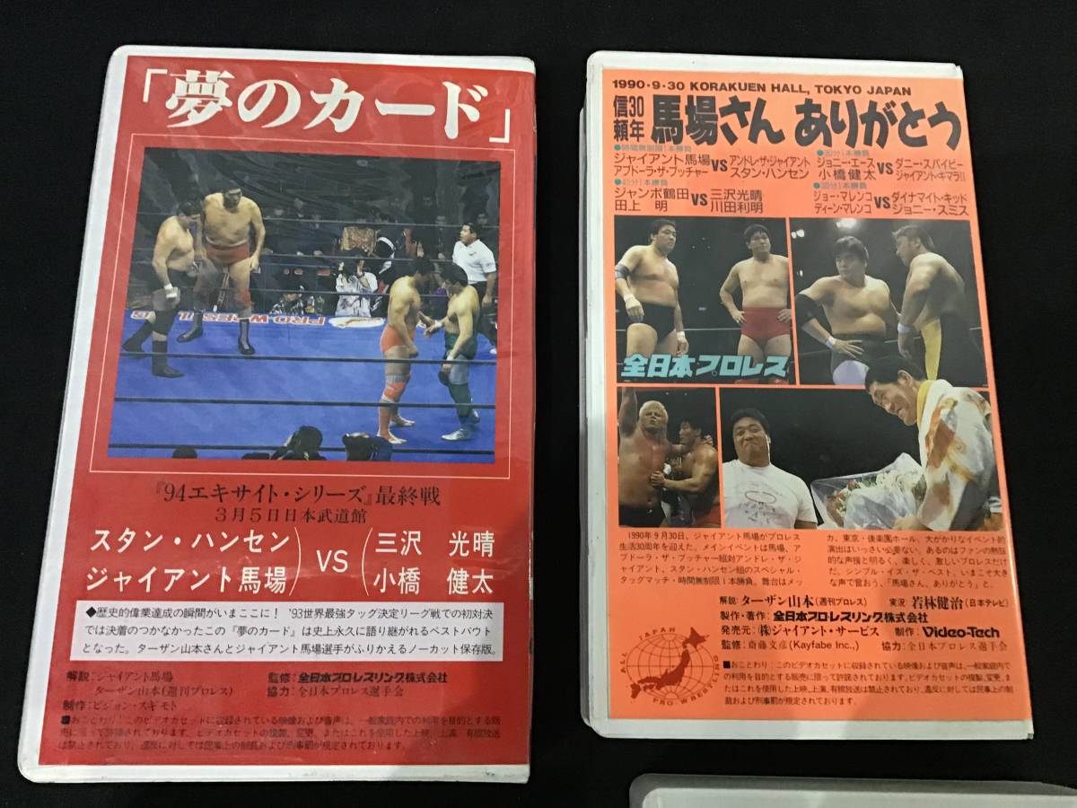 三沢光晴&小橋健太 直筆サイン色紙 95世界最強タッグリーグ 全日本