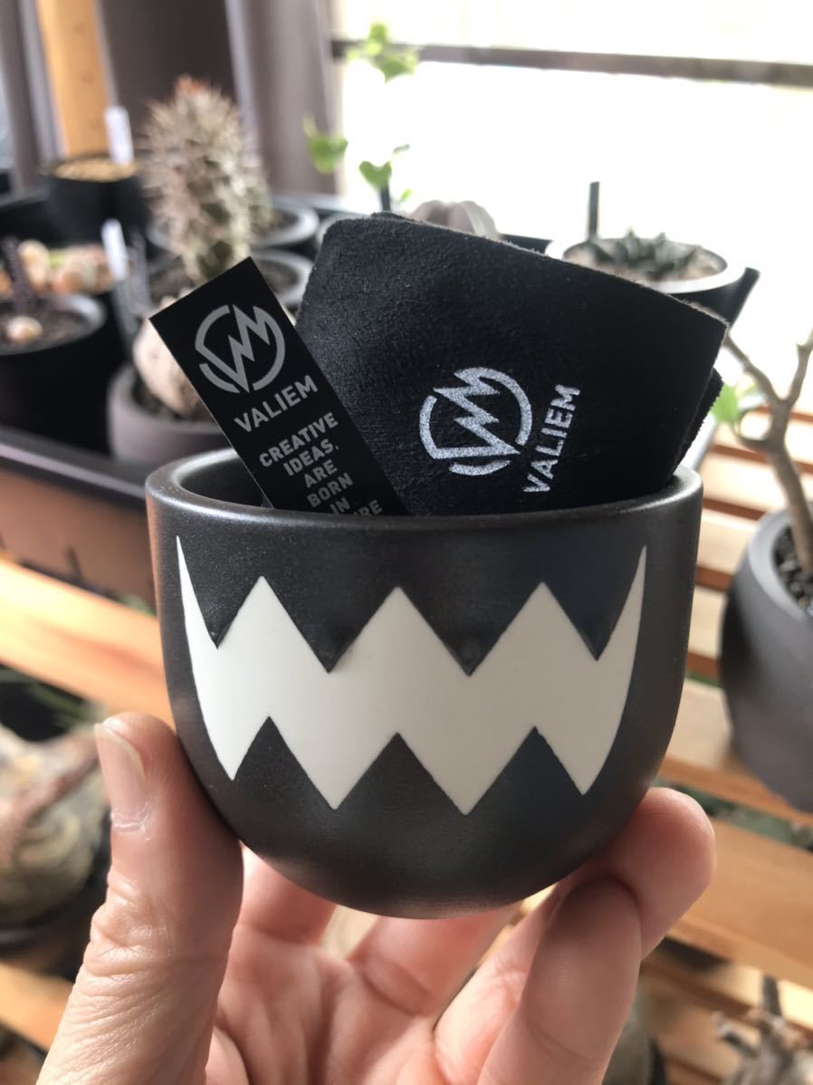 VALIEM S 植木鉢 陶器鉢③ バリエムvaliem 植木鉢鉢