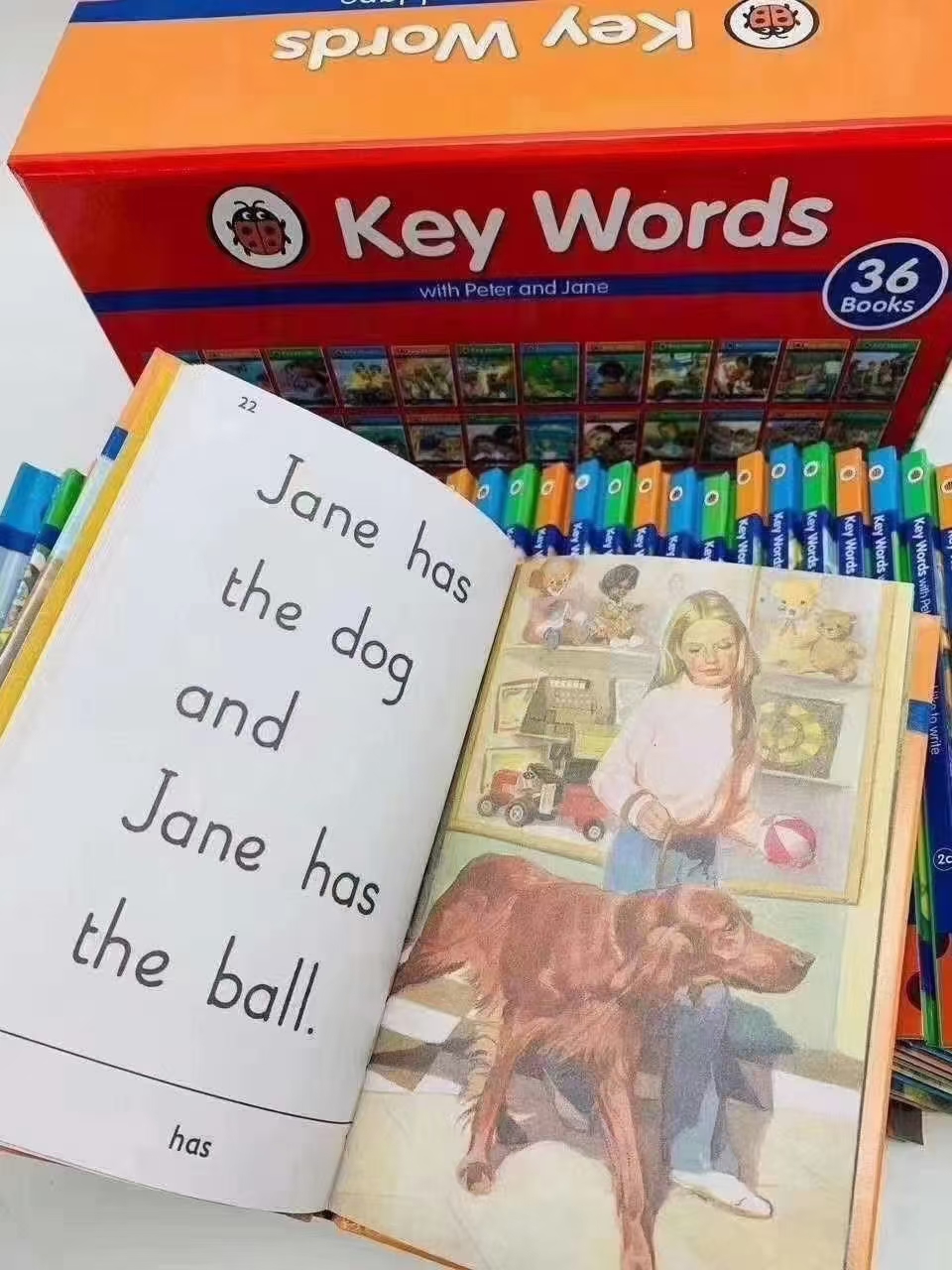 Ladybird Key Words Collection with Peter Jane 1-36 book 英文分級