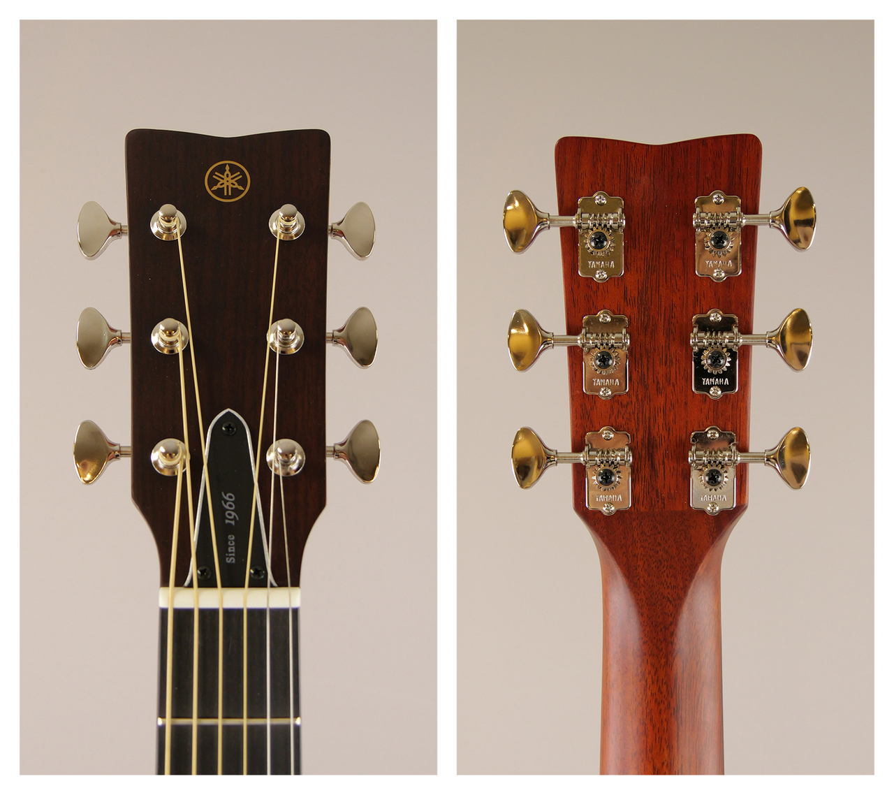 YAMAHA FGX5 - Vintage Natural- [Red Label] (Made in Japan)（新品