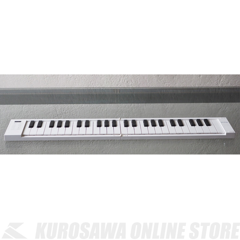 TAHORNG ORIPIA49/フルサイズ49鍵折りたたみ式電子ピアノ/MIDI