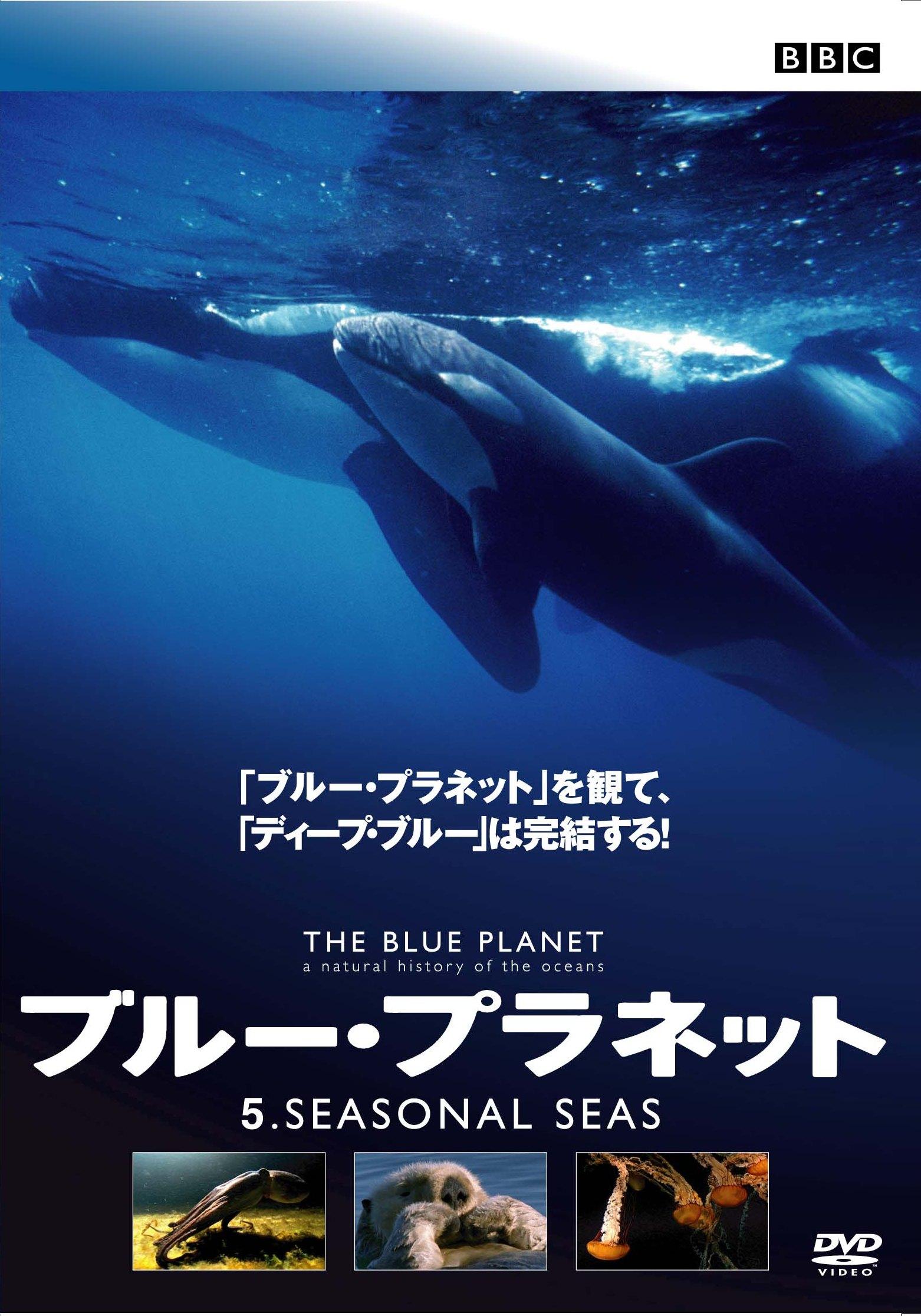ブルー・プラネット 5 SEASONAL SEAS | 宅配DVDレンタル