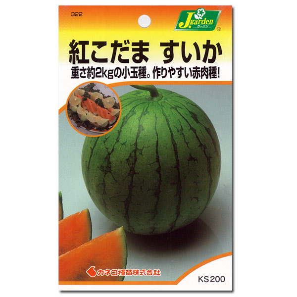 園芸ネット本店｜スイカ：紅こだま [4～5月 まき野菜タネ] の通販【公式】