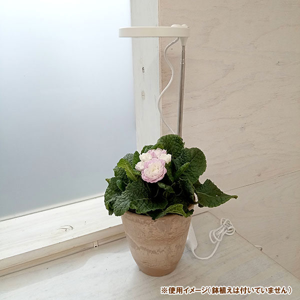 園芸ネット本店｜（わけあり特価）育成ライトクリップ（LED植物育成