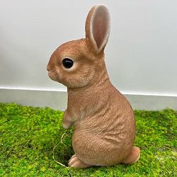 園芸ネット本店｜WooBia：見上げて立つベージュ白ウサギ（H12207-3