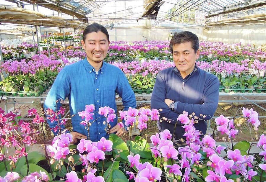 園芸ネット本店｜「椎名洋ラン園さんの胡蝶蘭」の栽培ガイド【公式】