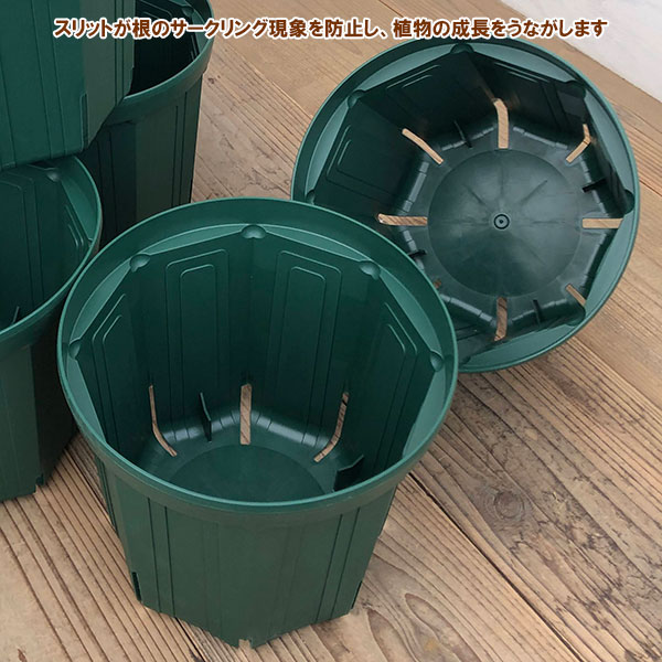 園芸ネット本店｜とんでもないポット：8号CSM-240（モスグリーン） の