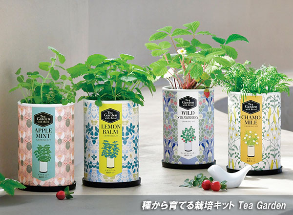 園芸ネット本店｜[ギフトに]ティーガーデン：アップルミント の通販