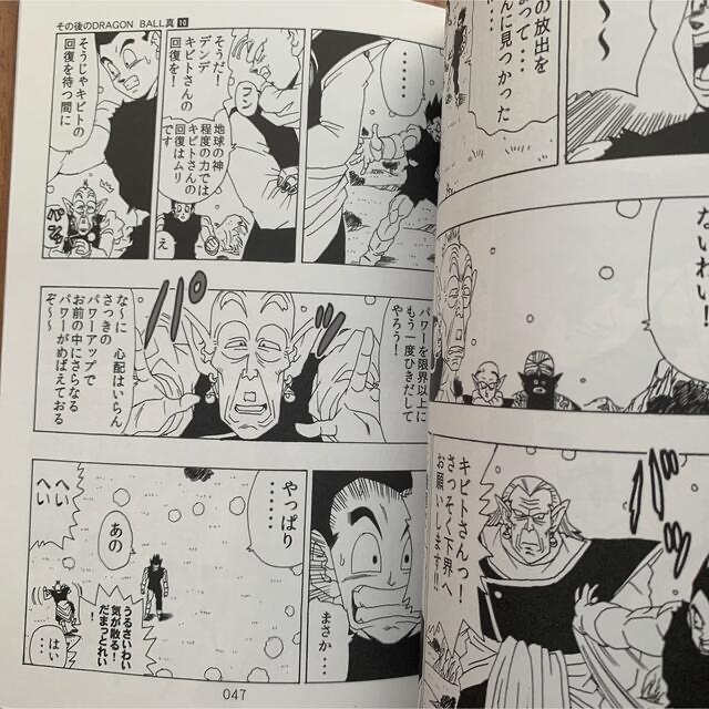 その後のDB真 10巻 ドラゴンボールAF ヤングなおゆき 同人誌 コミケの