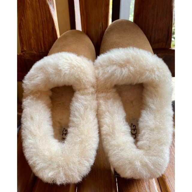 UGG - 完売しました。。。綺麗めコーデ女子必見✨新品✨24cm相当✨UGG