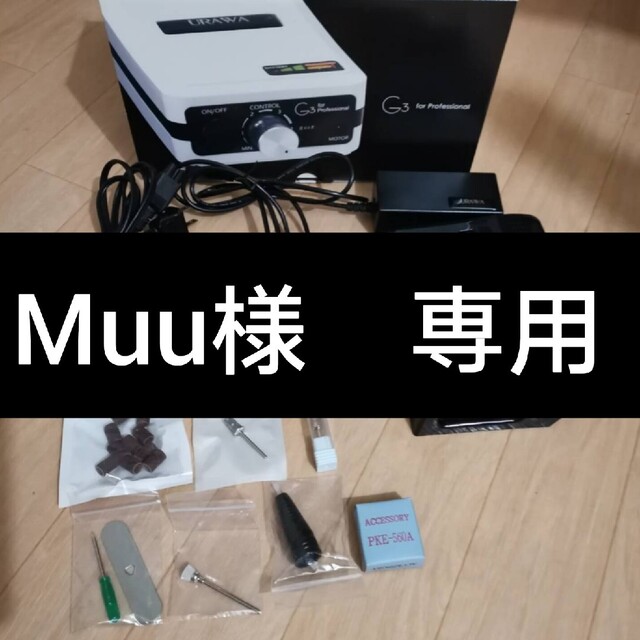 イザベラミズアオ スペイン産 ペア 標本箱付き イザベラミズアオ