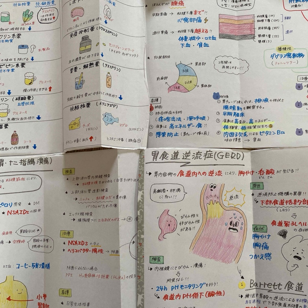 看護師国家試験対策【必修＋レビュー2点セット！！】国試ノート 付箋