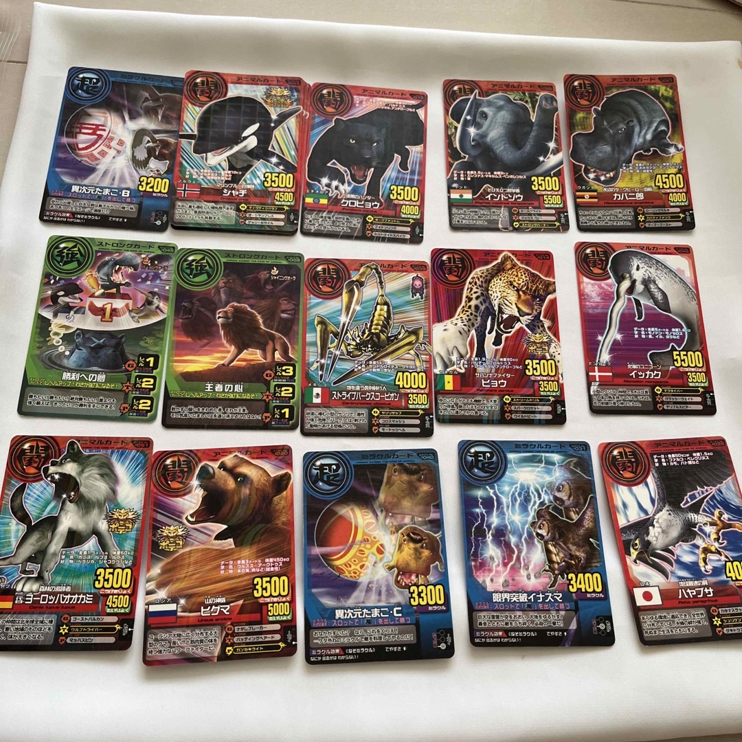 本日価格】 2. アニマルカイザーの通販 by mimi（みぃみぃ）shop｜ラクマ