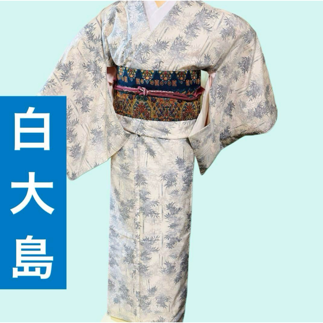 お見分け済 正絹袷 本場白大島紬単品 お見分け済 正絹袷 本場白大島紬