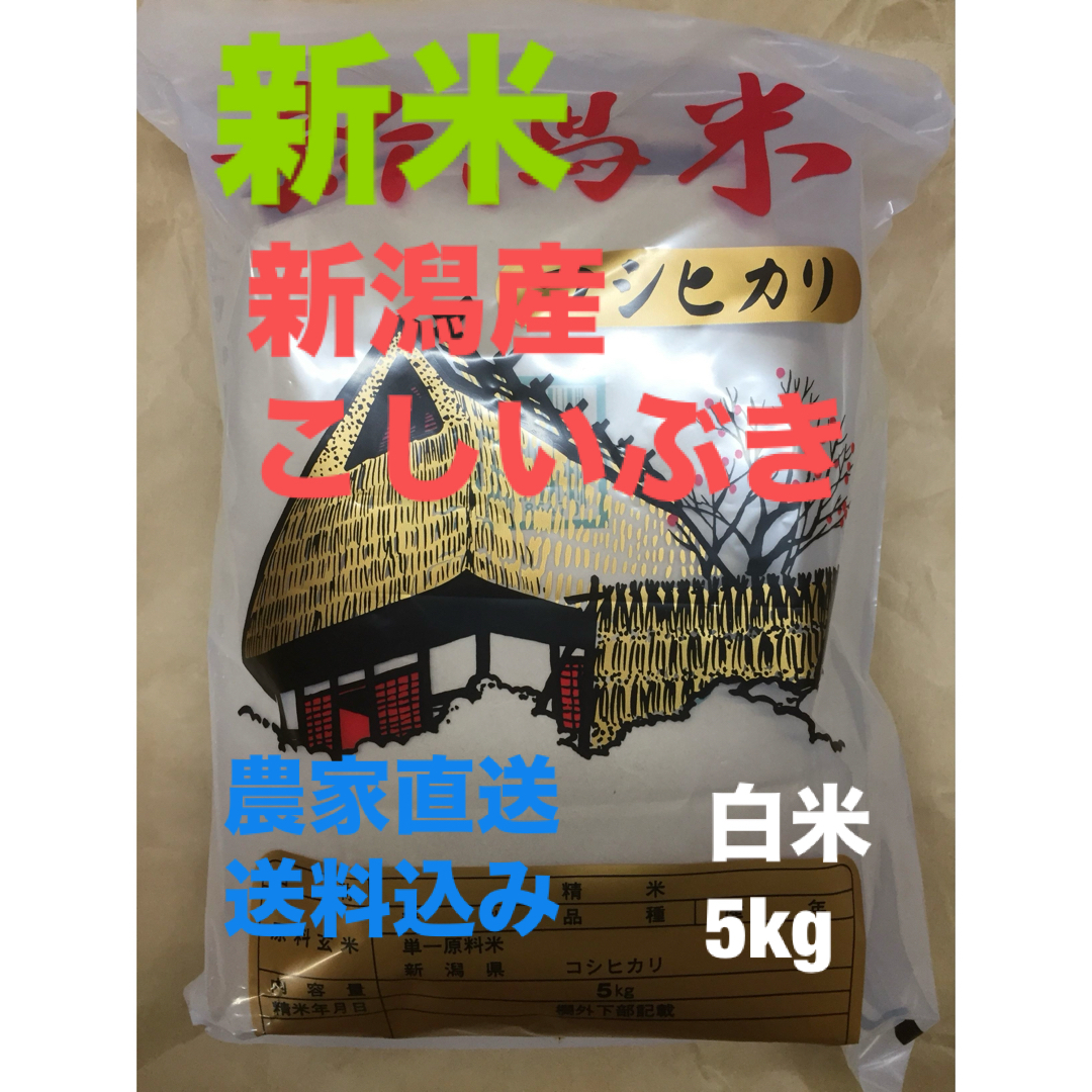 販売 今村昌平傑作選 第三巻 廃盤 SAMPLE品 シュリンク未開封