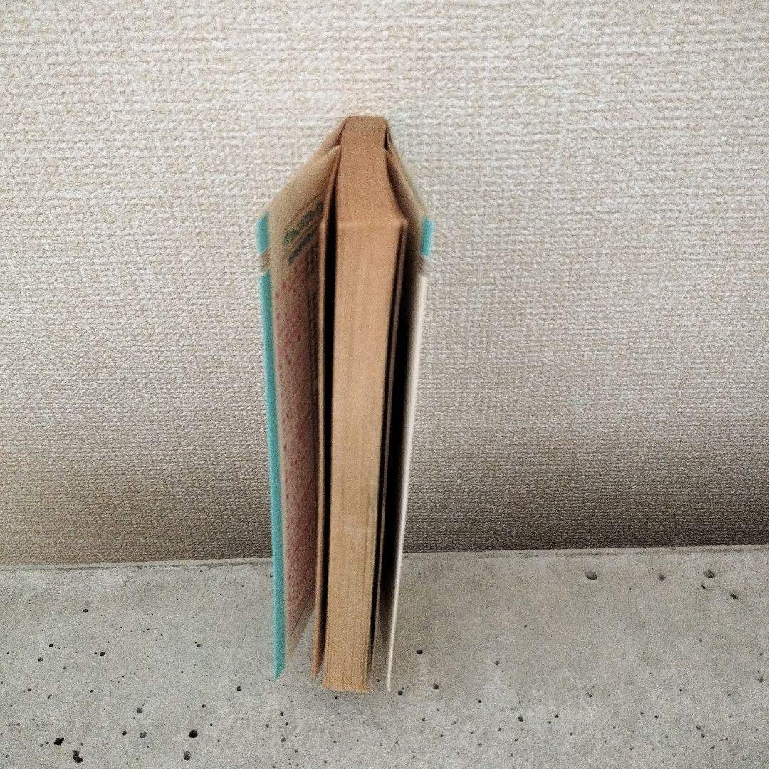 ドラゴンボール - 【激レア】ドラゴンボール DRAGON BALL 第19巻 初版