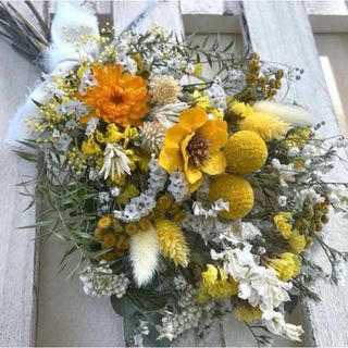 スモークツリー 苗 グレース 苗木 雌株の通販 by グリーンcafé｜ラクマ