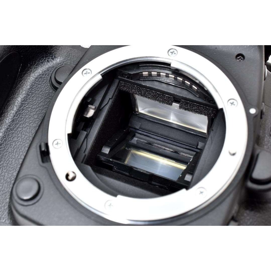 Nikon - 超美品 NIKON D80 デジタル ボディ ショット数 1356枚 H197の