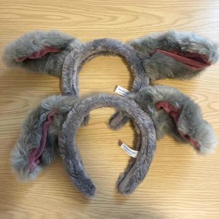 Disney - 最終値下げ パイレーツオブカリビアンアン王女の復讐号の通販