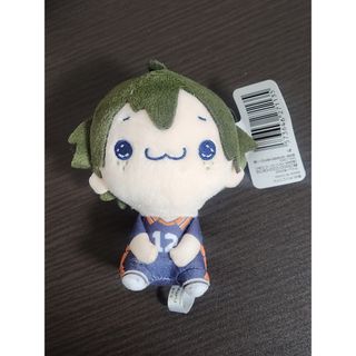 ポケモン - 等身大フシギダネのぬいぐるみ(限定品) ポケモン ヒトカゲ