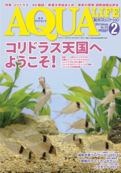 アクアライフ 2月号 (発売日2014年01月11日) | 雑誌/定期購読の予約は