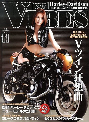VIBES（バイブズ） 11月号 (発売日2013年10月11日) | 雑誌/定期購読の