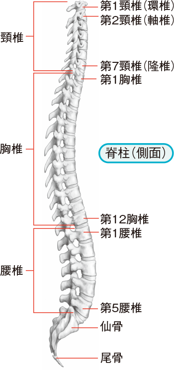 マイナートラブル | 看護roo![カンゴルー]