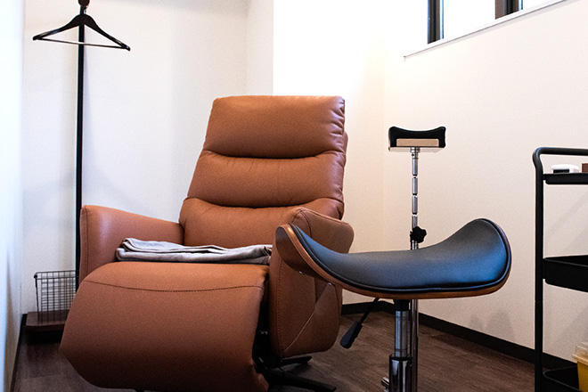 ハイドラジェントル＋ジェネシスシャワー（ブルーレーザー［ブラウマン