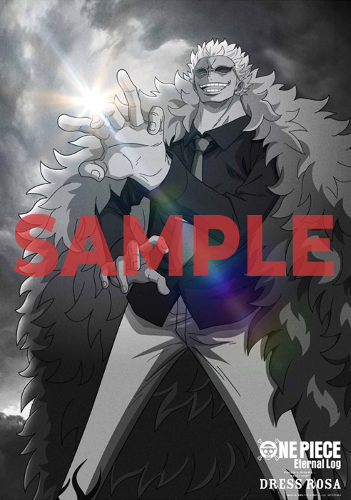 ONE PIECE Eternal Log Blu-ray 第11弾＆第12弾 2026年1月／7月 発売中