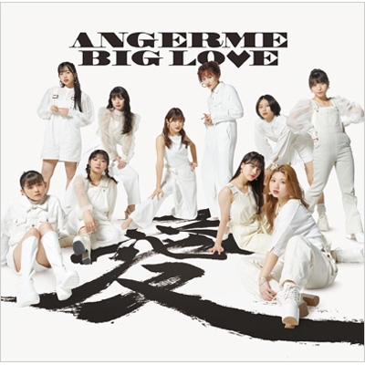 BIG LOVE : アンジュルム | HMV&BOOKS online - HKCN-50756