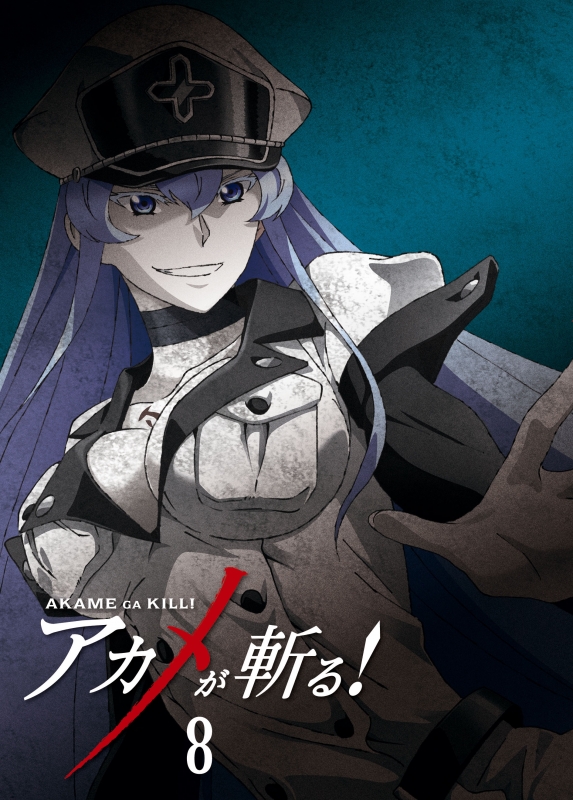 ○月刊ガンガンjoker 2014年 7月号 ○アカメが斬る! ブックカバー付き