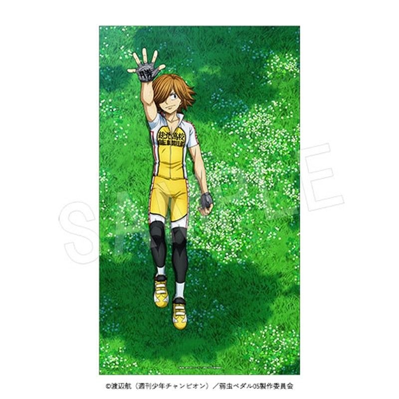 シーツ 青八木一 : 弱虫ペダル | HMV&BOOKS online - 4549502143557