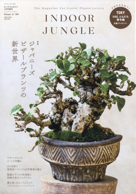 Indoor Jungle (インドアジャングル)No.08 ビバリウムガイド 2026年 1