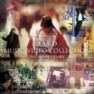 ZARD 25周年記念 MUSIC VIDEOコレクション発売｜ZARD 25周年記念MUSIC