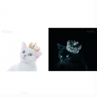 Aimer 初のベストアルバム『BEST SELECTION “blanc”』『BEST SELECTION