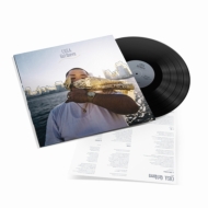 PUNPEE Return of The Sofakingdom LP レコード punpee the