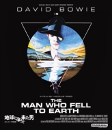 デヴィッド・ボウイ主演映画 地球に落ちて来た男 4Kレストア 特別版