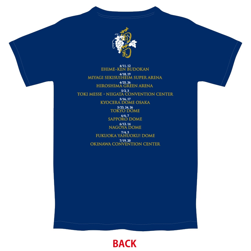 ロゴTシャツ 紺【S】 2回目/ サザンオールスターズ LIVE TOUR 2015