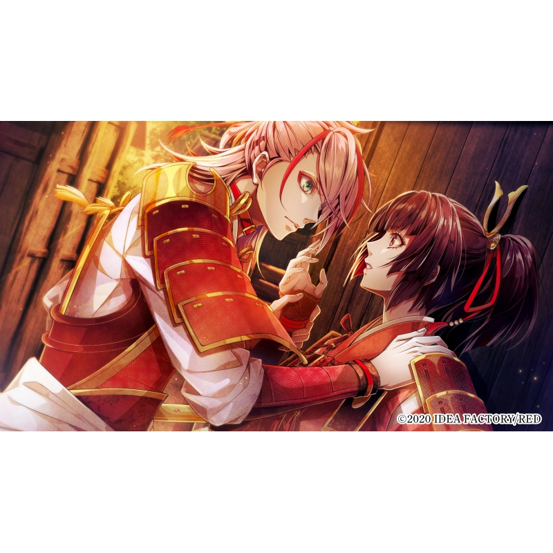 ビルシャナ戦姫 ～源平飛花夢想～限定版 : Game Soft (Nintendo Switch