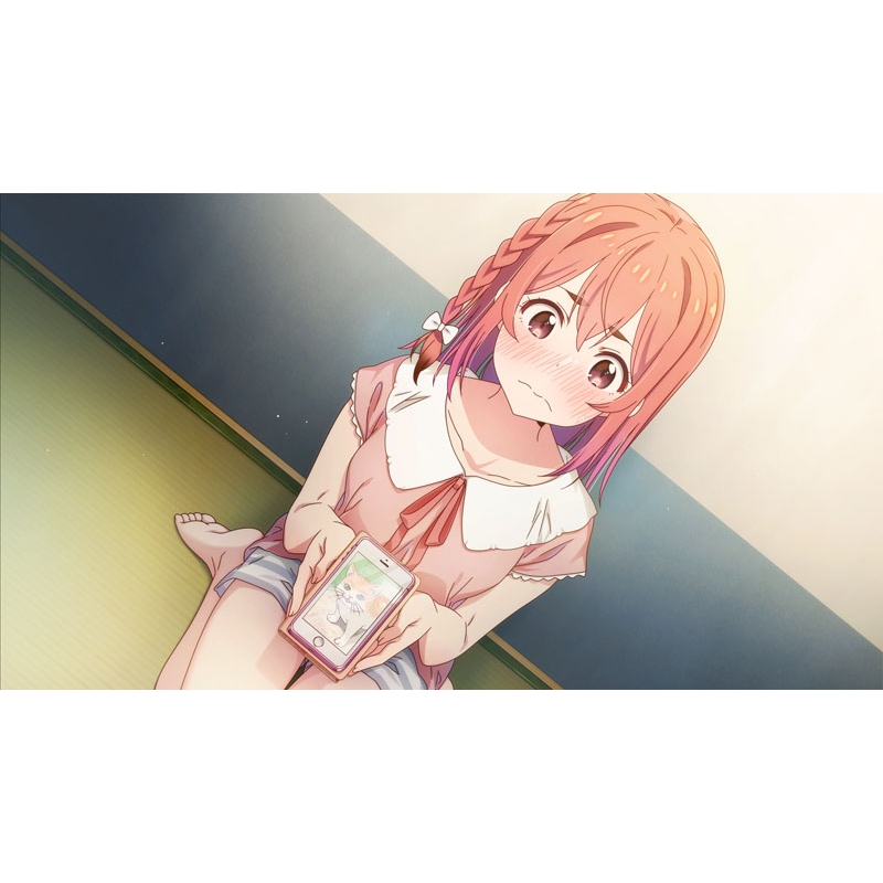 Nintendo Switch】彼女、お借りします ～水平線と水着の彼女～ : Game